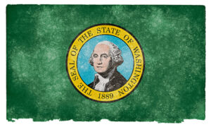 What do you think of Washington State's Internet sales tax plan?