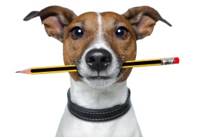 dog with pencil_blog