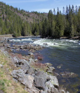 Rapids on the Clearwater River of Idaho along Highway 12 downstream of Lolo Pass. Picture taken in April. In the summer this stretch of the river is a favorite whitewater rafting area.