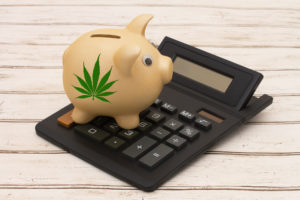 A golden piggy bank and calculator on a wood background with a marijuana leaf