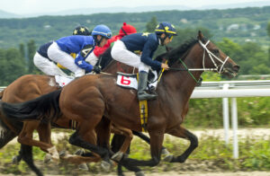 This is a picture of a horse race at Churchill downs. 